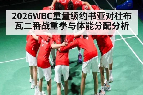 2026WBC重量级约书亚对杜布瓦二番战重拳与体能分配分析